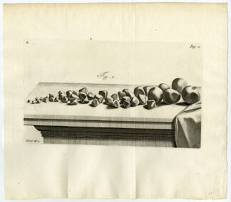 Antique Print-ANATOMY-UTERINE PROLAPSE-WOMB-FIG 2-Ruysch-Huyberts-1744
