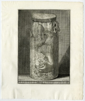 Antique Print-ARM-CHILD-JAR-POLYPOID SUBSTANCE-TAB 2-Ruysch-Huijberts-1744