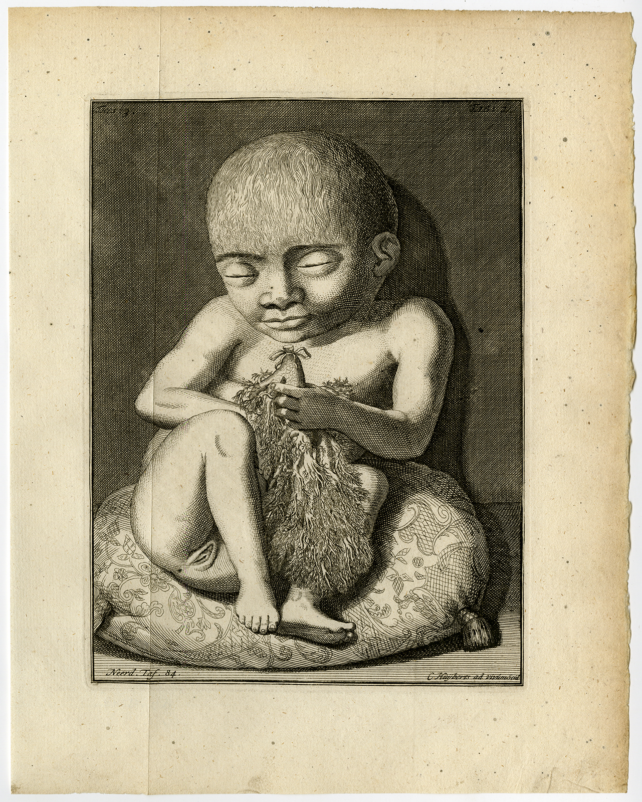 , Antique Print-CORPSE-EMBALME-NATIVE AMERICAN-TRACHEA-Ruysch-Huyberts-1744, Pictura Antique Prints