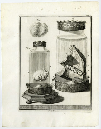Antique Print-LOWER JAW-CHEEK TISSUE-AMNION-FETUS-Ruysch-Huyberts-1744