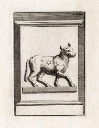 Antique Print-TAURUS-BULL-ASTROLOGY-Bartoli-1751