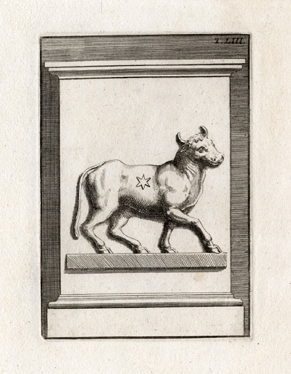, Antique Print-TAURUS-BULL-ASTROLOGY-Bartoli-1751, Pictura Antique Prints