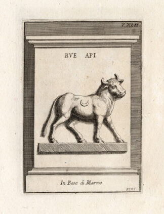 Antique Print-APIS-BULL-EGYPT-Bartoli-1751