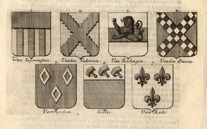 , Antique Print-LOUVAIN-LEUVEN-BELGIUM-Butkens-1724, Pictura Antique Prints