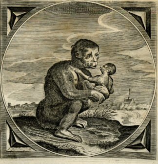 Antique Print-MONKEYS-REAP-SOW-Venne-Jacob Cats-1655