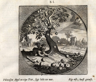 Antique Print-LOVE-RIPE FRUIT-Venne-Jacob Cats-1655