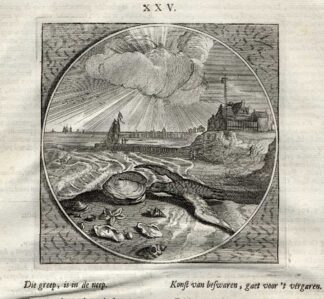 Antique Print-SEAGULL OISTER-Venne-Jacob Cats-1655
