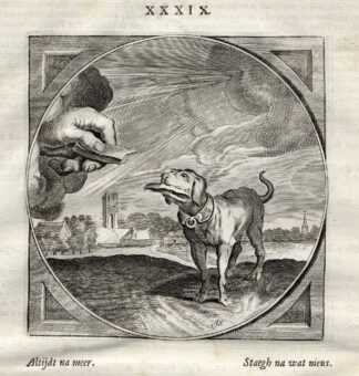 Antique Print-PROVERB-DOG-LUST-NEW-LOVE-J. Cats-1655