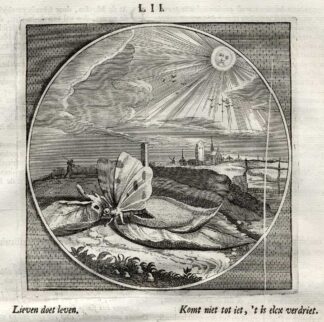 Antique Print-PROVERB-BUTERFLY-COCOON-Jacob Cats-1655