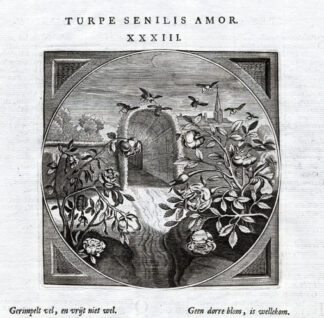 Antique Print-PROVERB-LOVE-ROSE-BEES-Jacob Cats-1655
