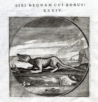 Antique Print-PROVERB-BIRD-CROCODILE-Jacob Cats-1655