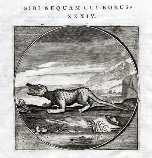 , Antique Print-PROVERB-BIRD-CROCODILE-Jacob Cats-1655, Pictura Antique Prints