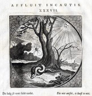Antique Print-PROVERB-SPIN-SNAKE-LOVE-Jacob Cats-1655
