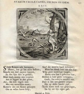 Antique Print-CATCH A CRANE-CONTROL-Venne-Cats-1655