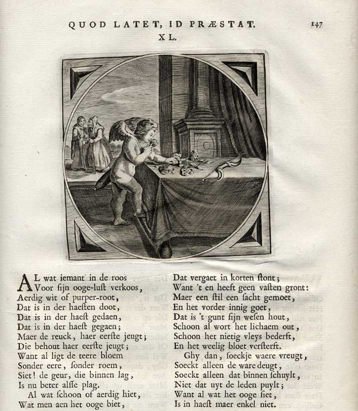 , Antique Print-ROSE-SCENT-INNER BEAUTY-Venne-Cats-1655, Pictura Antique Prints