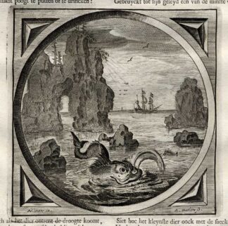 Antique Satire Print-MARRIAGE-WHALE-FISH-Cats-1655