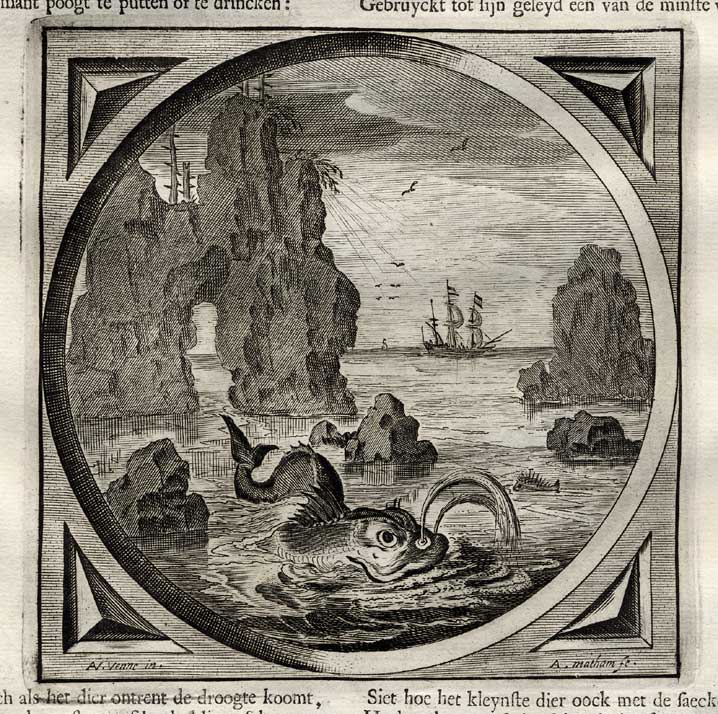 , Antique Satire Print-MARRIAGE-WHALE-FISH-Cats-1655, Pictura Antique Prints