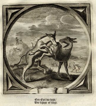 Antique Print-Emblem-Satirical-Proverb-MAN-WOMAN-DONKEY-WILD-Venne-Cats-1655