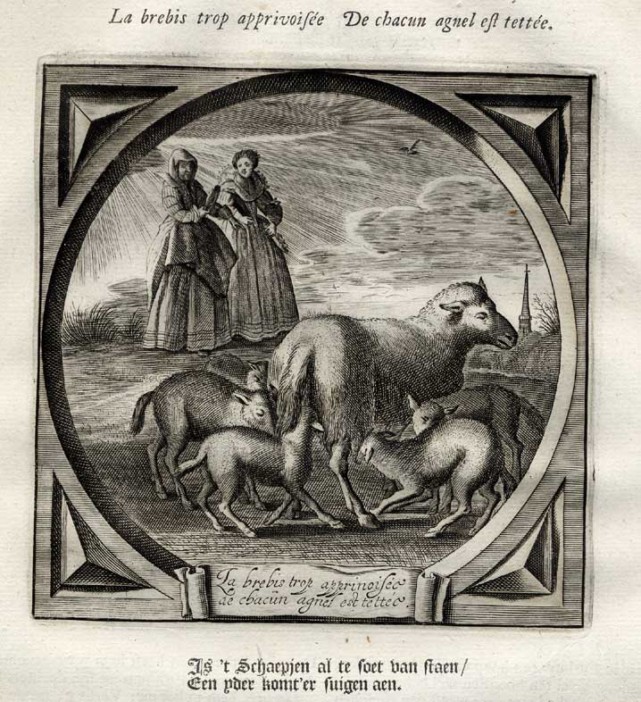 Cats20191 416x455 Antique Print-Emblem-Satirical-Proverb-VIRGIN-COMPLIANCE-SHEEP-Venne-Cats-1655