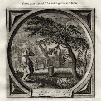 Antique Emblem-Satire-Proverb Print-RIPE PEAR FALLS-LOVE-Venne-Cats-1655