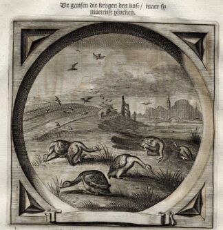 Antique Emblem-Satire-Proverb Print-WORKING-LAZYNESS-GEESE-Venne-Cats-1655