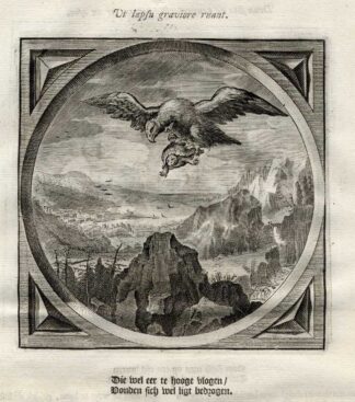 Antique Satire Print-FLYING HIGH-FALLING DEEP-Cats-1655