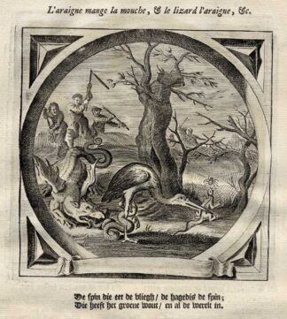 Antique Satire Print-CYCLE OF NATURE-STORK-Cats-1655