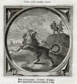 Antique Satire Print-BIG-SMALL-RESPECT-LION-Cats-1655