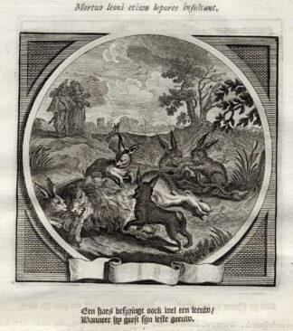 Antique Satire Print-FEAR-CONTEMPT-LION-HARE-Cats-1655