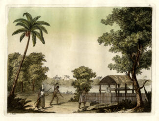 Antique Print-TAHITI-OCEANIA-PALM TREES-Ferrario-1827