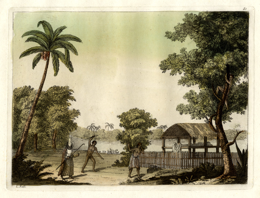 , Antique Print-TAHITI-OCEANIA-PALM TREES-Ferrario-1827, Pictura Antique Prints