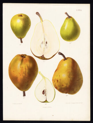 Antique Print-PEAR-ORPHELINE D'ENGHIEN-DUCHESSE D'ANGOULEME-Berghuis-1868