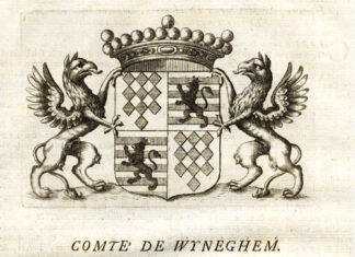 Antique Print-COAT OF ARMS-COUNT OF WIJNEGEM-BRABANT-Butkens-1724
