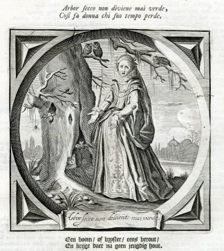 Antique Emblem-Satire-Proverb Print-SPINSTER-OLD AGE-TREE-OWL-Venne-Cats-1655