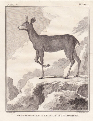 Antique Print-CLIFF JUMPER-DEER-Buffon-1766