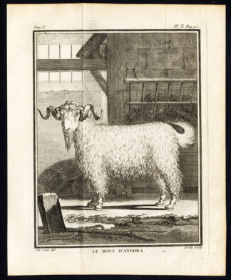 Antique Print-set-ANGORA SHEEP-Buffon-1780