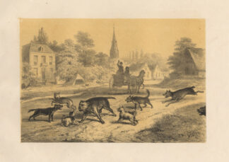 Antique Satire Print-DOGS-UNKNOWN IS DISLIKED-TILBURG-NETHERLANDS-Ver Huell-1873