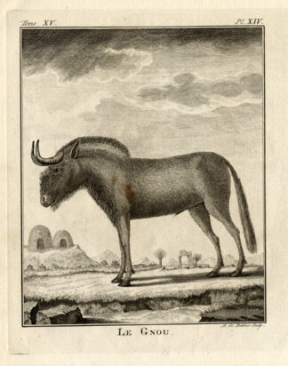 Antique Print-GNU-WILDEBEEST-Buffon-1772