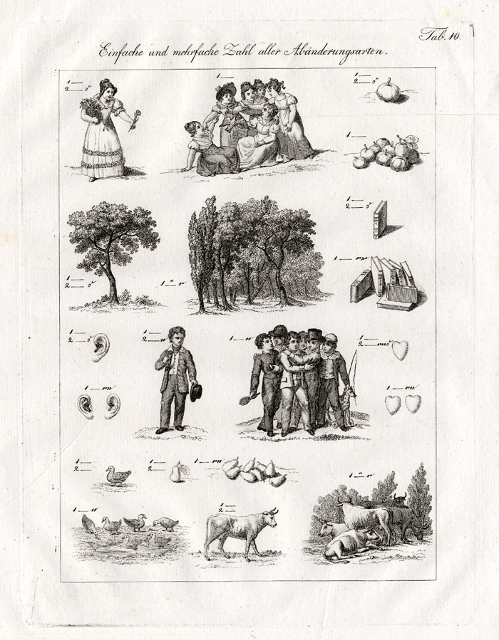 , Antique Print-LANGUAGE-COSTUME-COWS-FRUIT-Czech-1844, Pictura Antique Prints