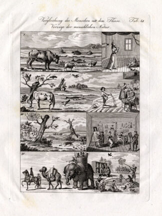 Antique Print-HUMAN AND ANIMAL NATURE-BEE-Czech-1844