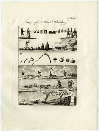 Antique Print-BIRDS-KITE-DOG-FRUIT-FROG-Czech-1844