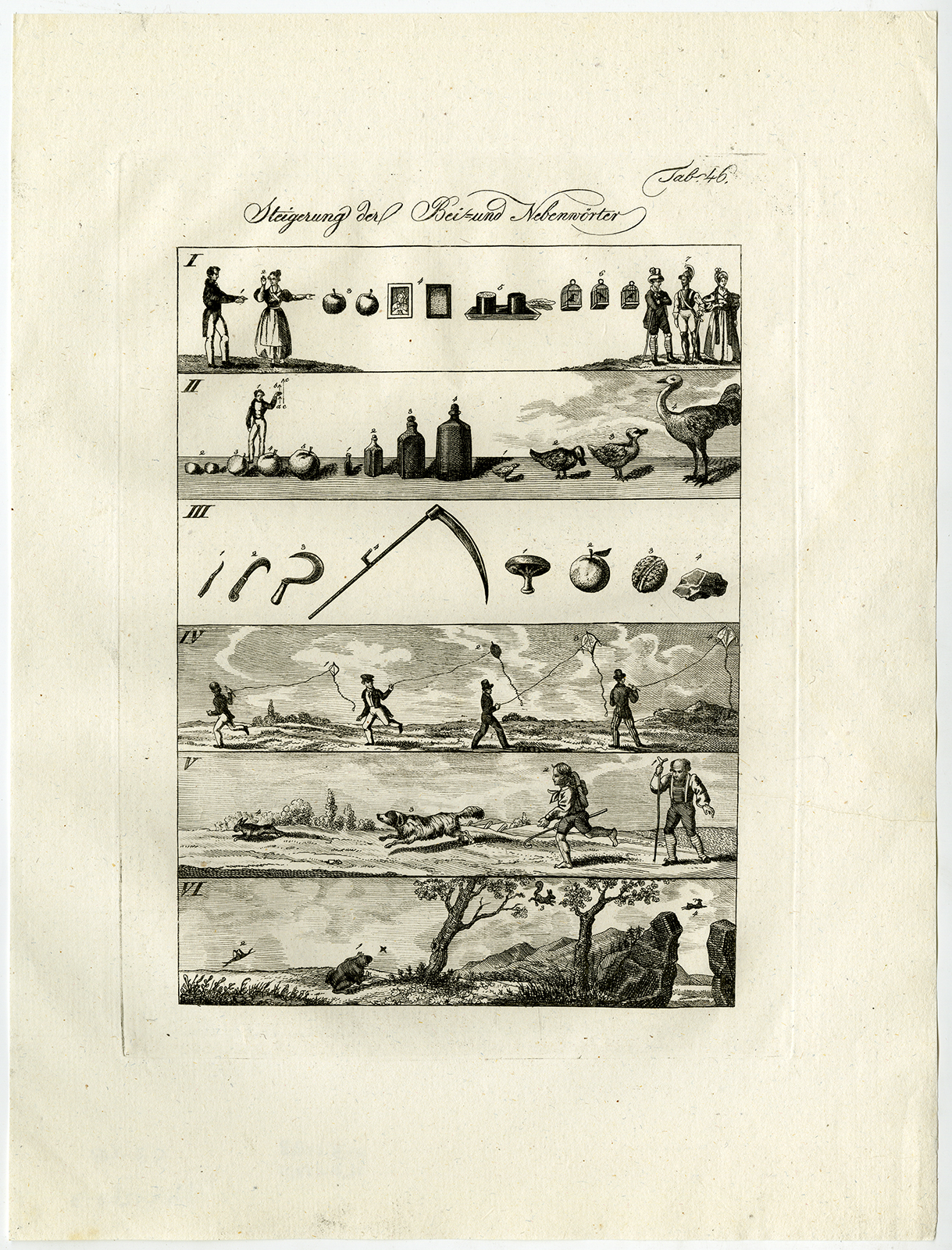 , Antique Print-BIRDS-KITE-DOG-FRUIT-FROG-Czech-1844, Pictura Antique Prints