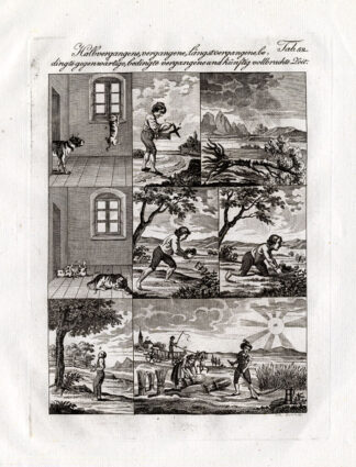 Antique Print-DOG-CAT-STORM-HORSE-SCYTHE-Czech-1844