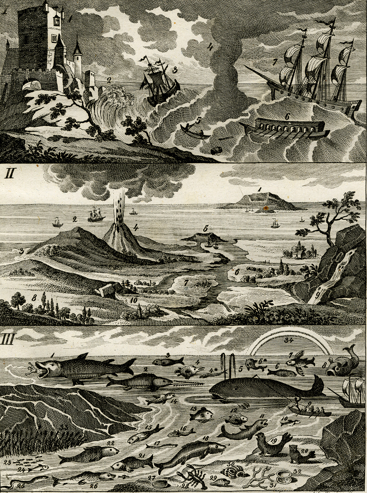 , Antique Print-WHALE-VOLCANO-SHIP-SEAL-Czech-1844, Pictura Antique Prints