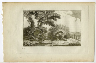 Antique Print-FABLES-AESOP-SNAKE-HEDGEHOG-Barlow-1802
