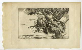 Antique Print-FABLES OF AESOP-THE SICK KITE-Barlow-1802