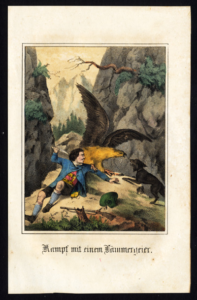 , Antique Print-BATTLE WITH A BEARDED VULTURE-DOG-RIFLE-SWITZERLAND-Fritsche-1850, Pictura Antique Prints