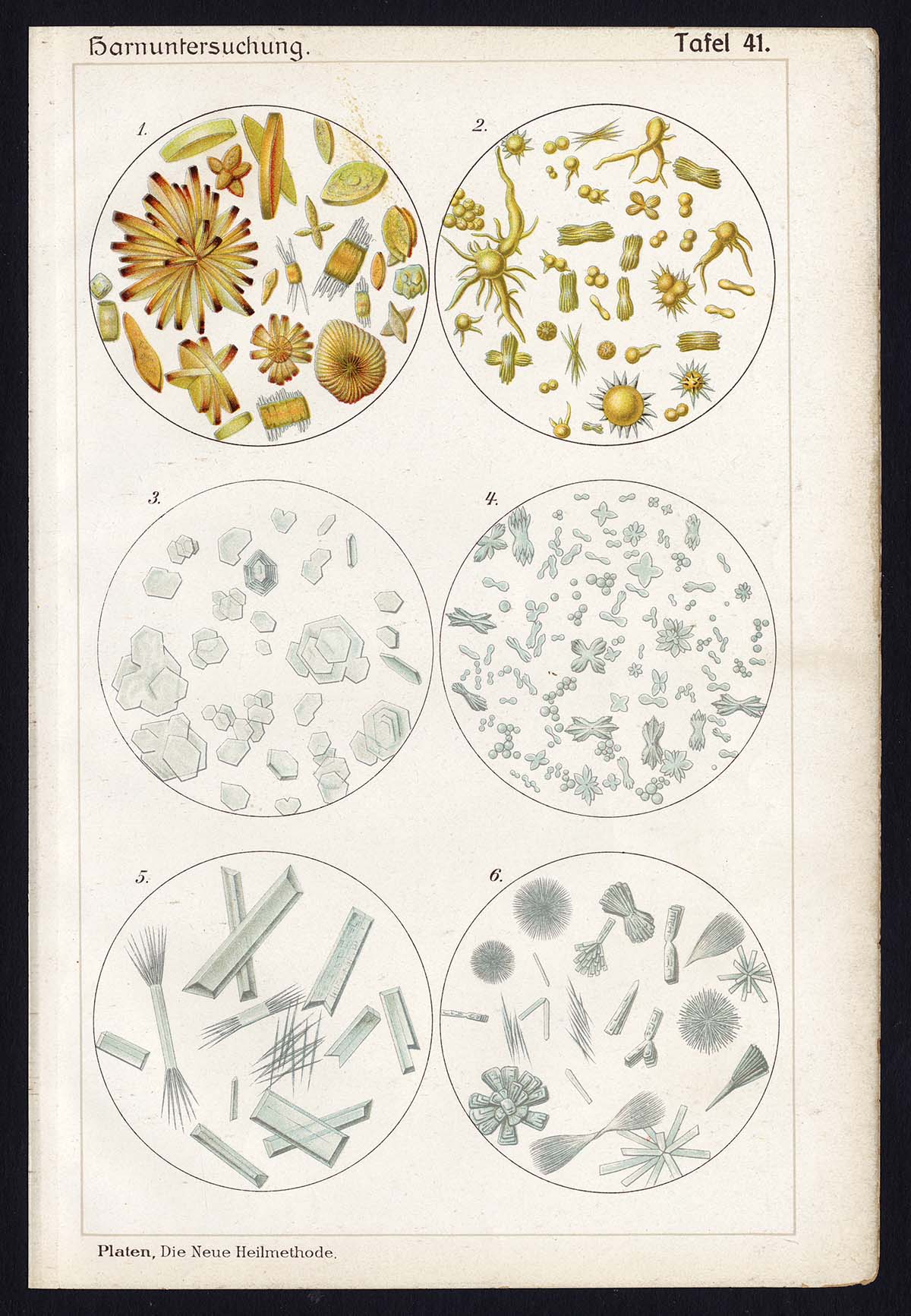 , Antique Print-CRYSTALS-AMMONIA-CYSTINE-MAGNESIA-PHOSPHOR-Taf 41-Platen-1907, Pictura Antique Prints