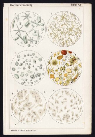 Antique Print-OXALIC-ACID-SODIUM-MAGNESIUM-AMMONIA-PHOSPHOR-Taf 42-Platen-1907