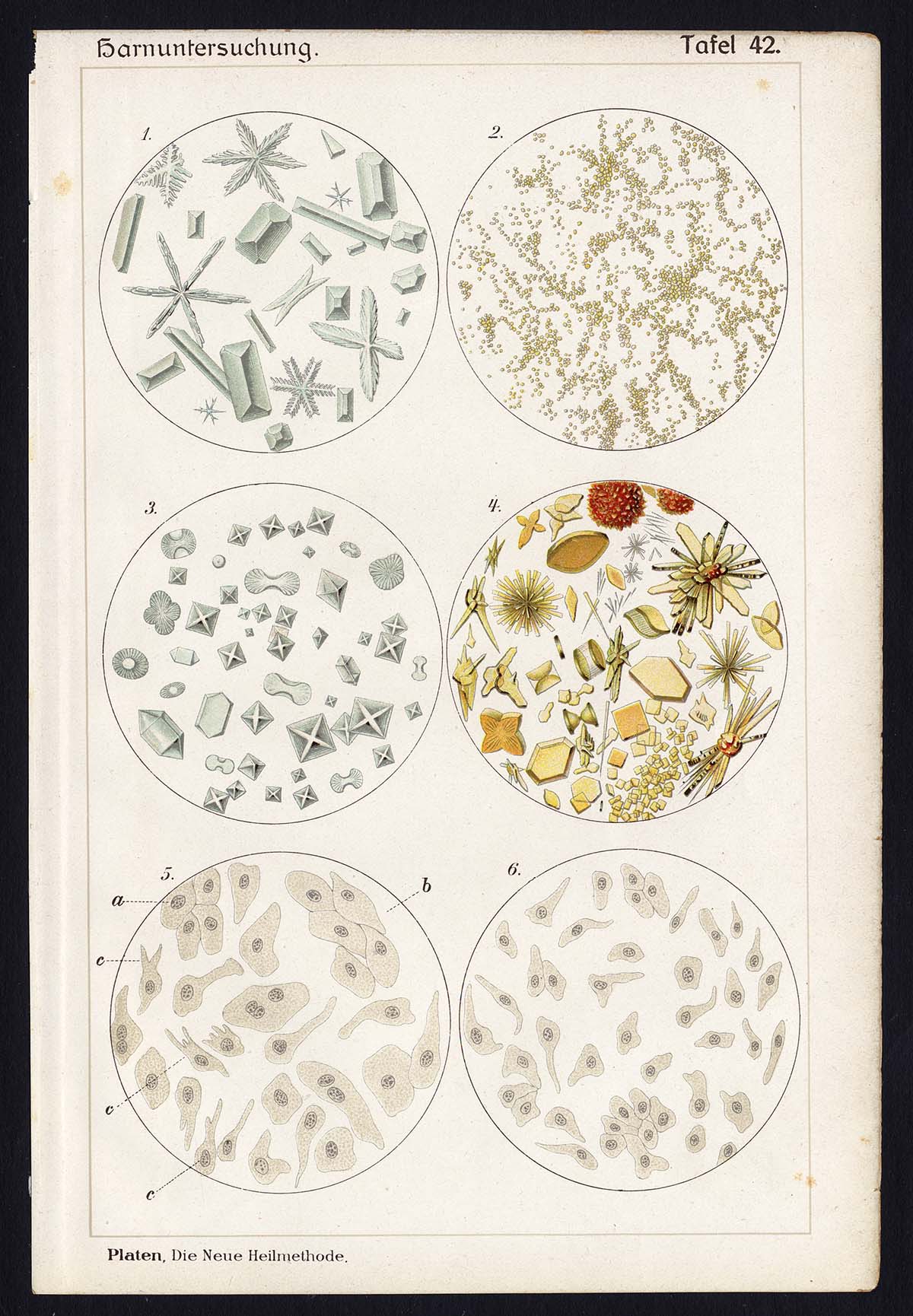 , Antique Print-OXALIC-ACID-SODIUM-MAGNESIUM-AMMONIA-PHOSPHOR-Taf 42-Platen-1907, Pictura Antique Prints